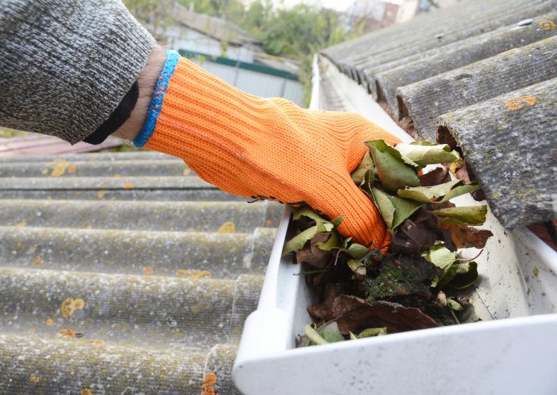 Business Gutter Cleaning in Denver, CO