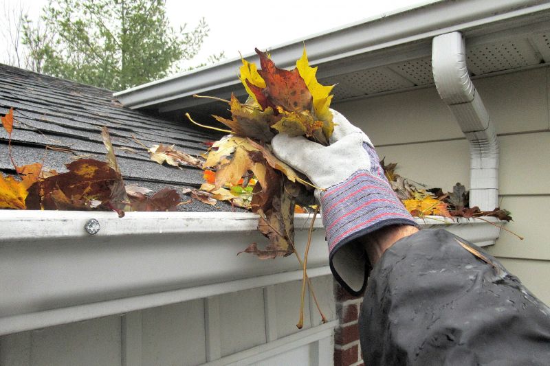 Gutter Leaf Clearing in Monmouth County, NJ